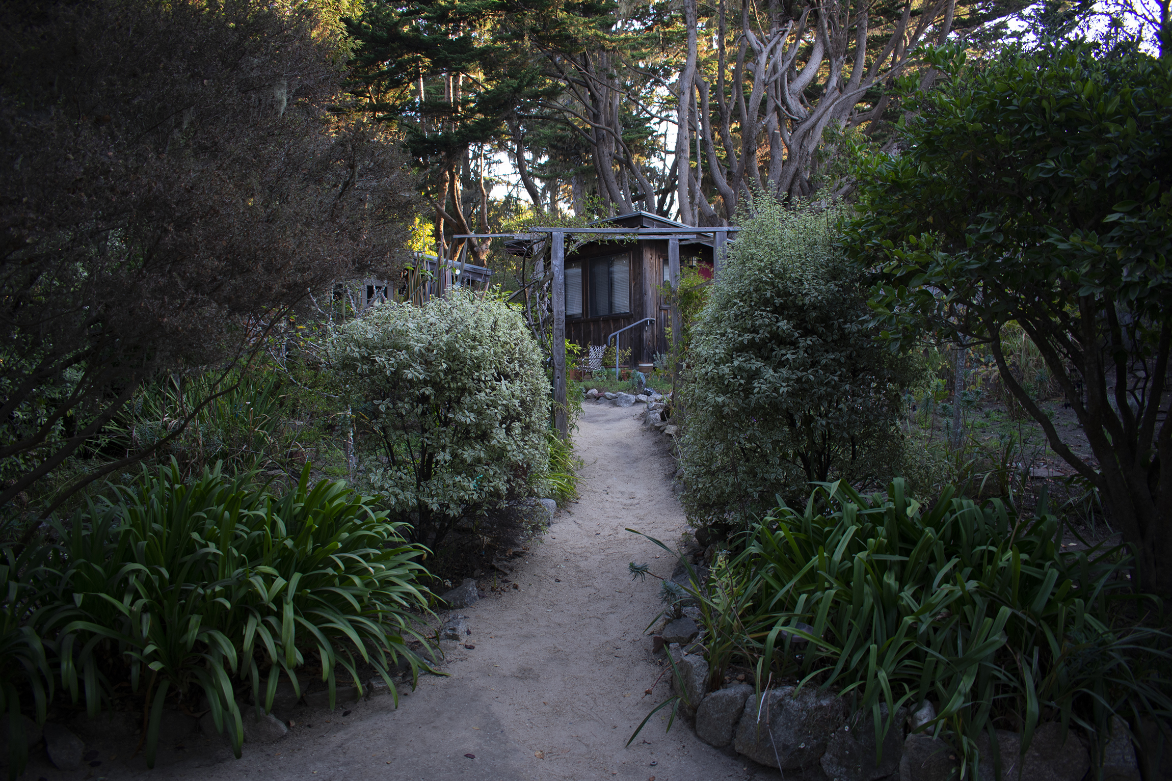 A path leading to a home