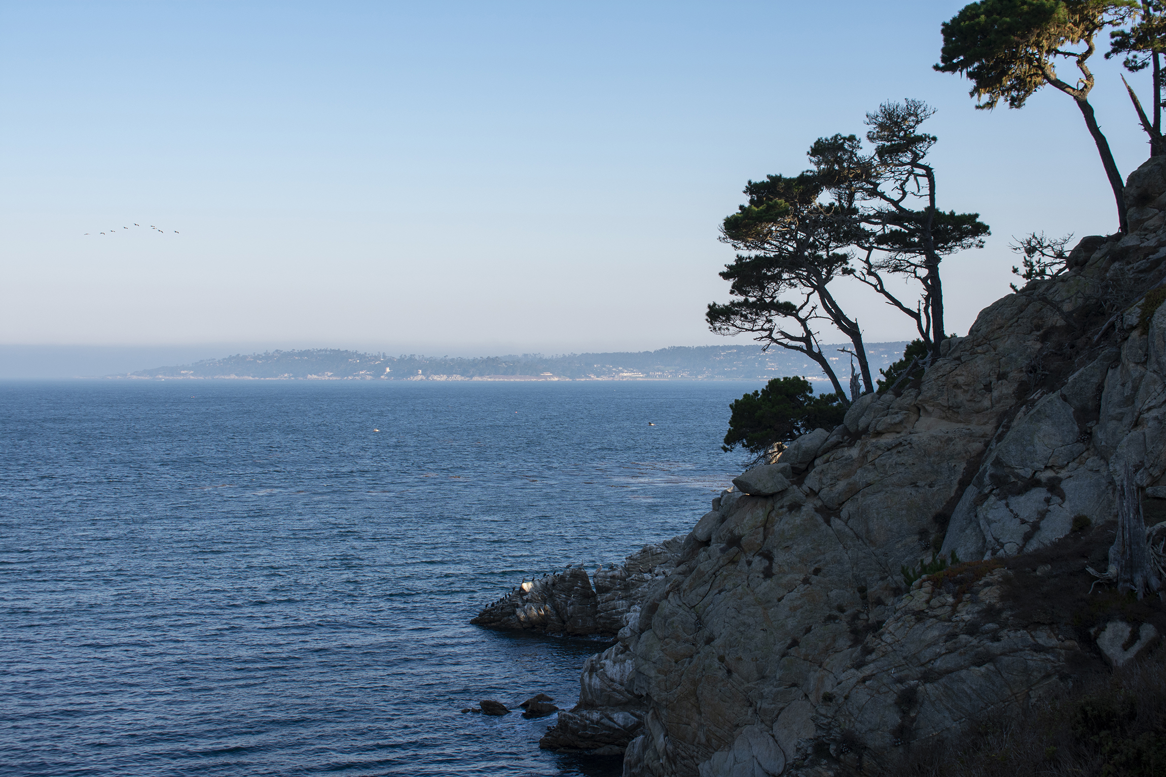 A rocky coast at Carmel By-The-Sea