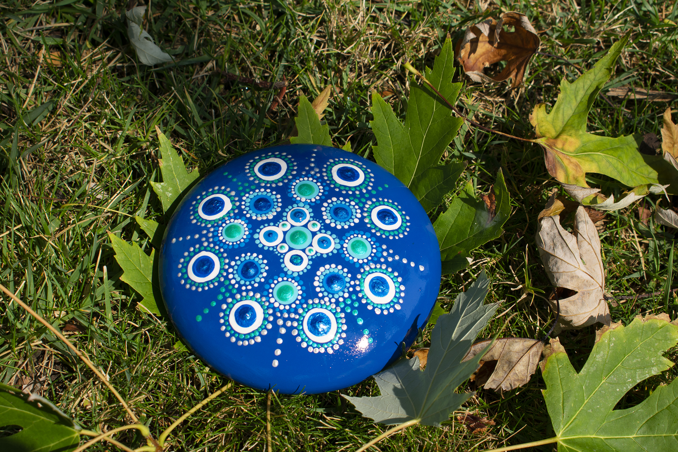 A dot art rock in the grass