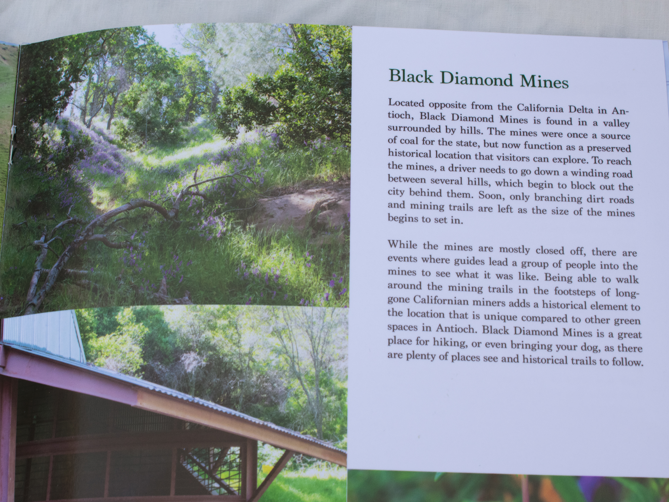 a close-up of page 6 from the Green Antioch booklet, showing some images and text from Black Diamond Mines