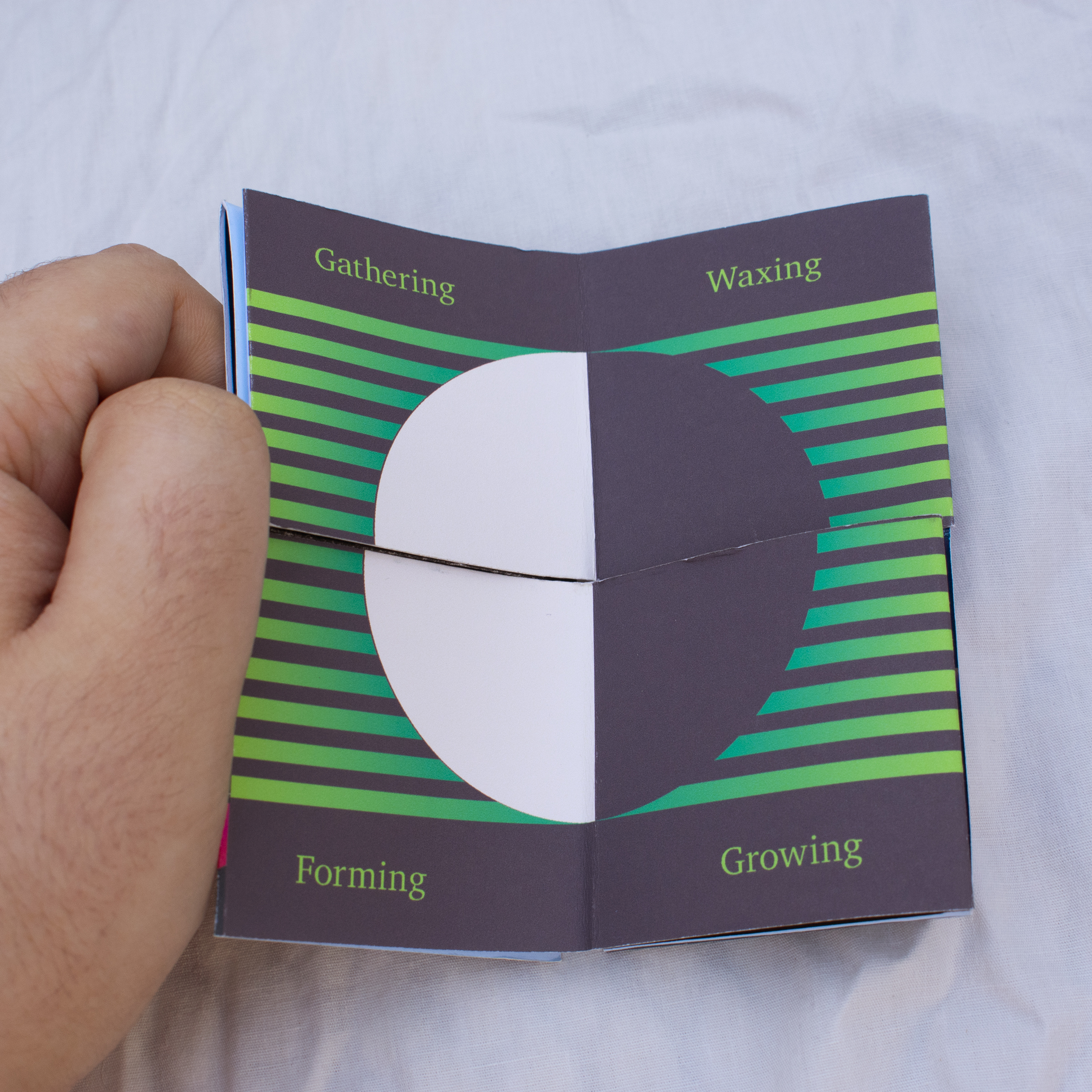 the result of folding the Luminova Flexagon