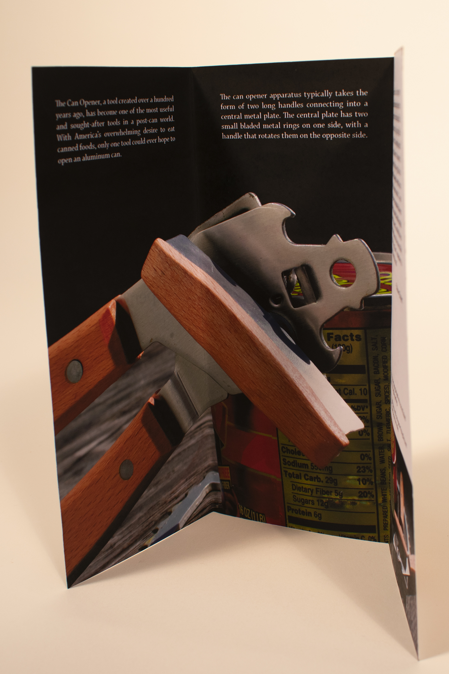 the main inside spread of the brochure