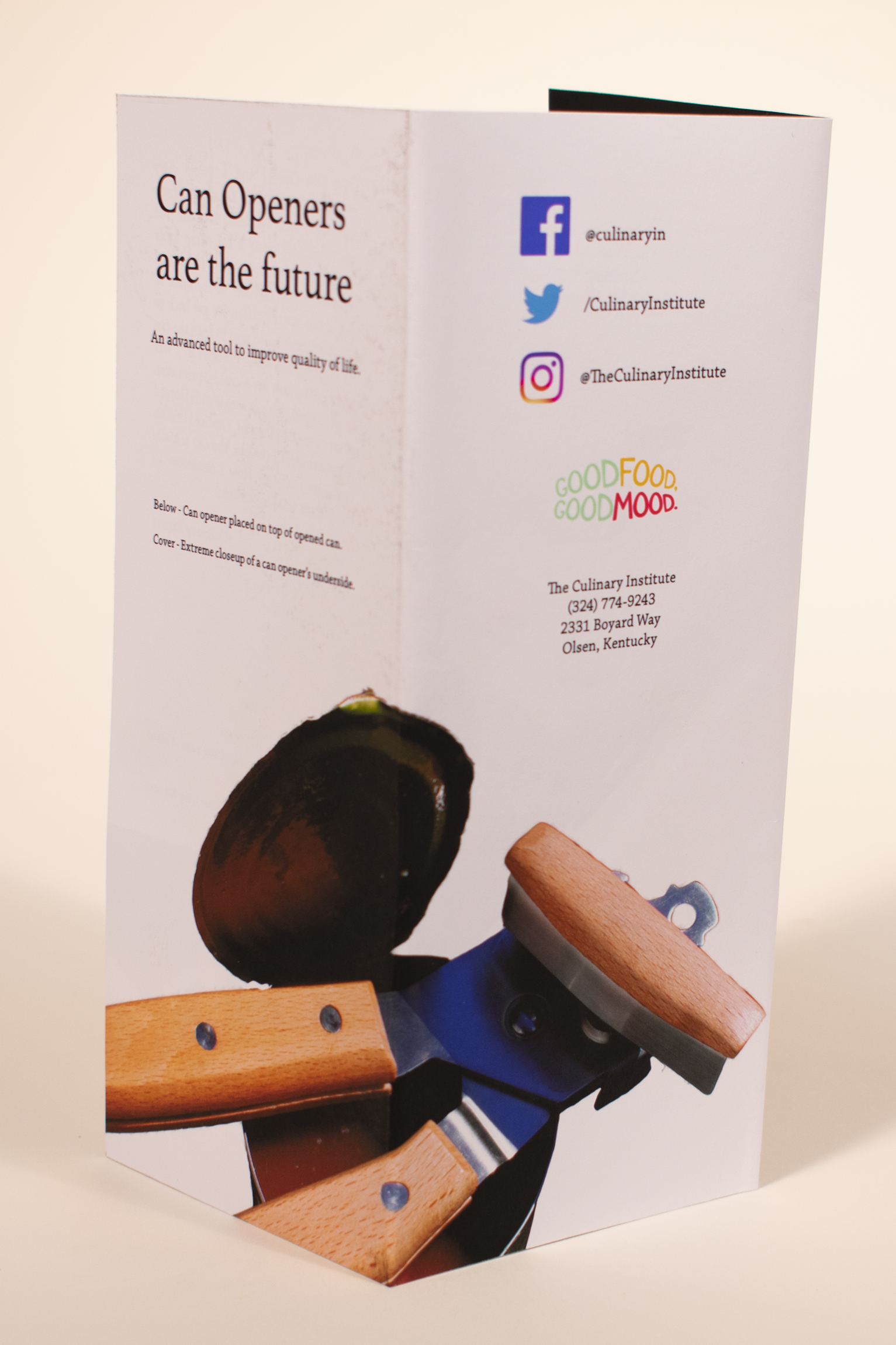 the back of brochure