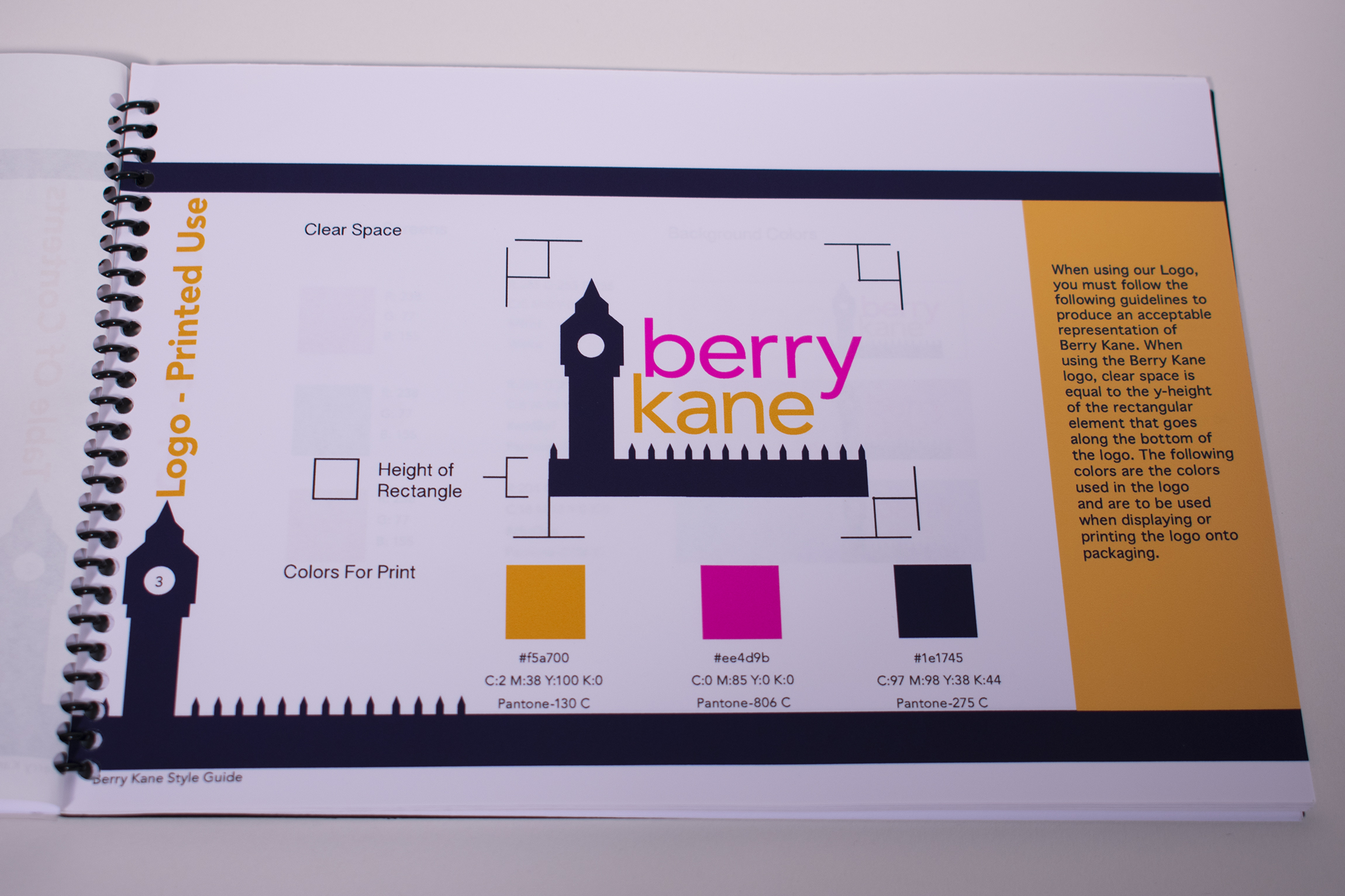 Berry Kane Style Guide logo clearspace info