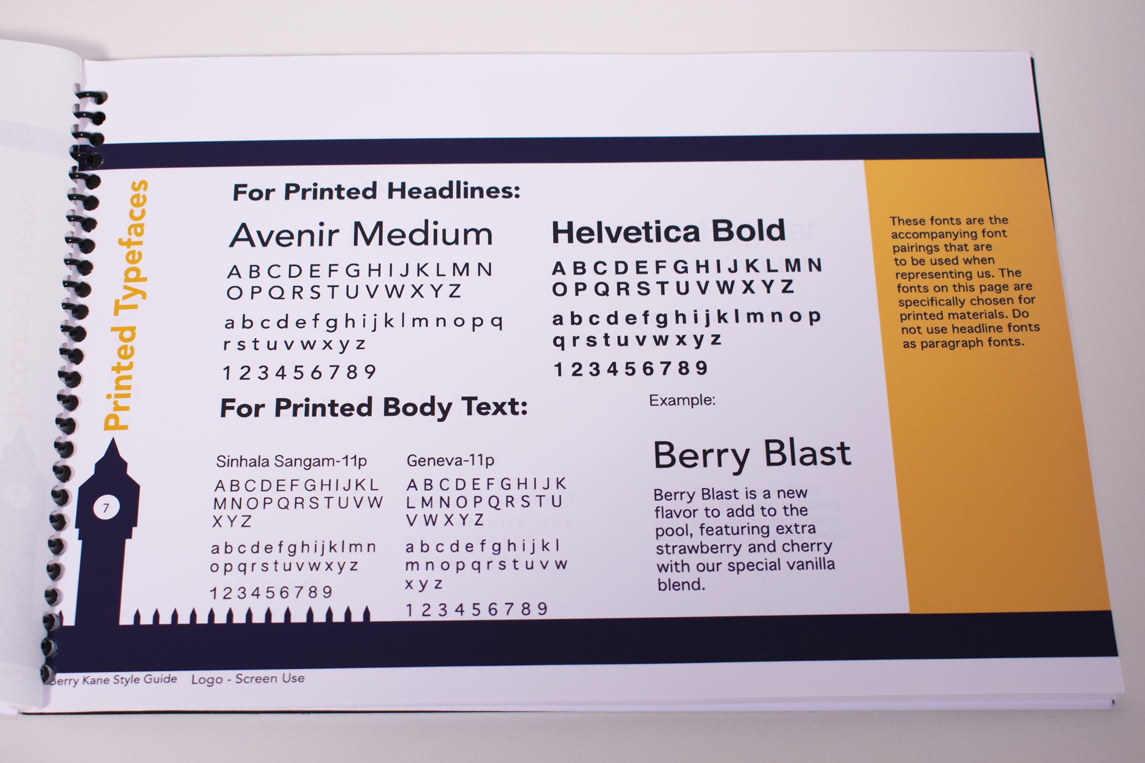Berry Kane Style Guide digital typeography usage guide